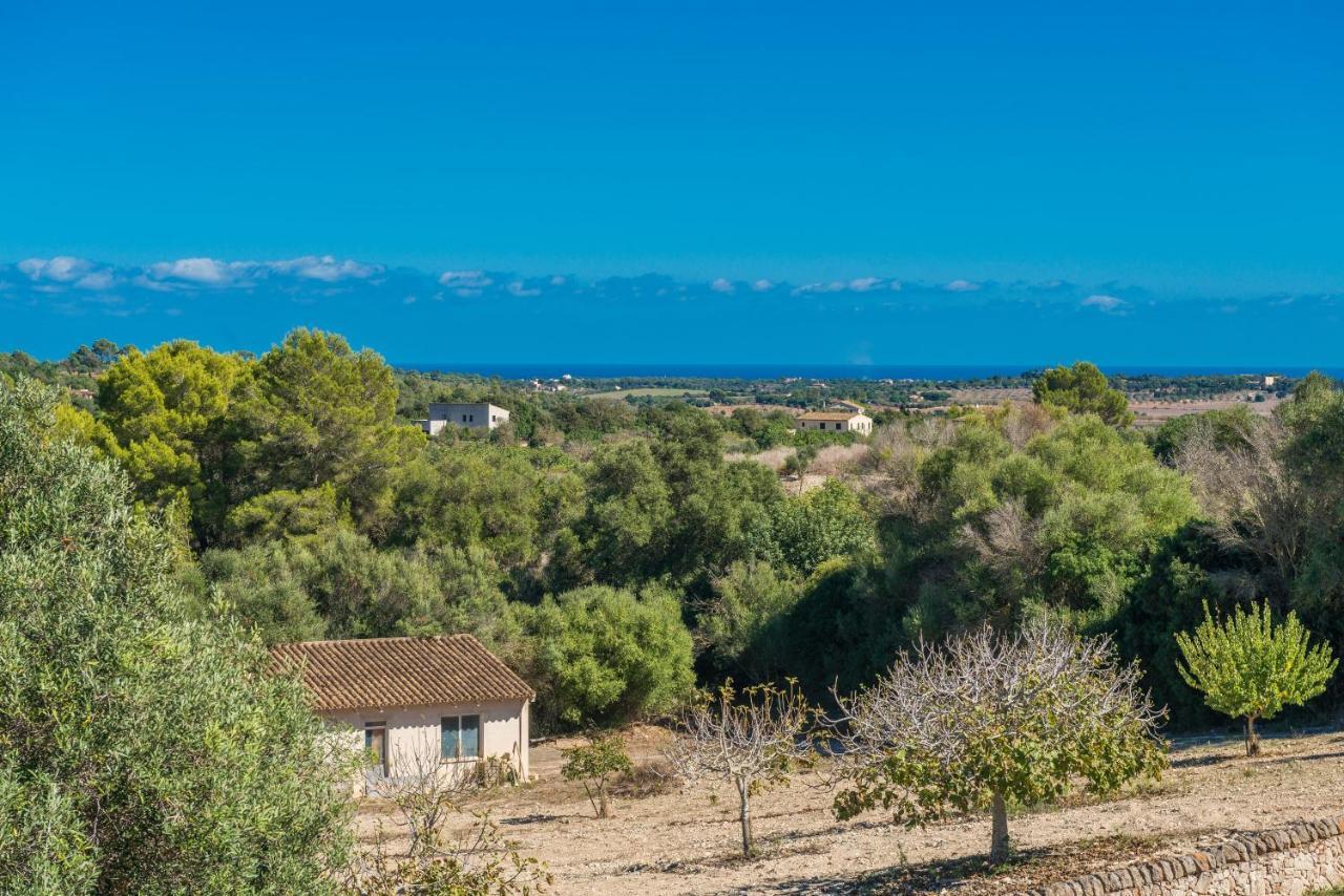 Finca Son Colom Manacor  Dış mekan fotoğraf